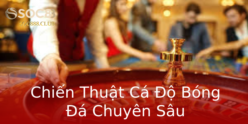 Chiến Thuật Cá Độ Bóng Đá Chuyên Sâu Chiến Thuật Cá Độ Bóng Đá Chuyên Sâu